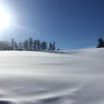Tatil Evi Chata Luzna *