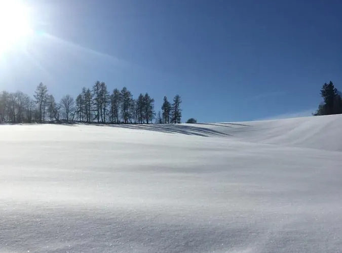 Tatil Evi Chata Luzna *